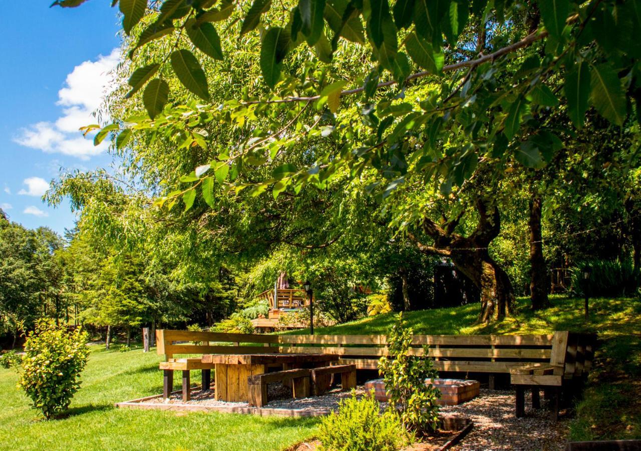 Las Magnolias Lofts Villa Puerto Varas Eksteriør bilde
